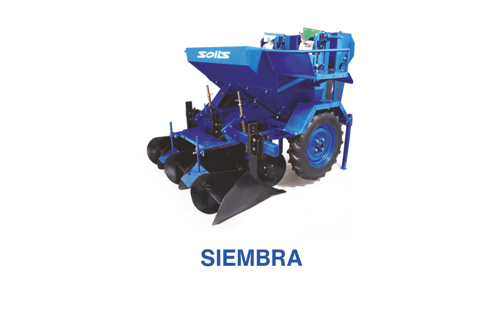 siembre